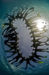 Ring of friends. by Dray Van Beeck 